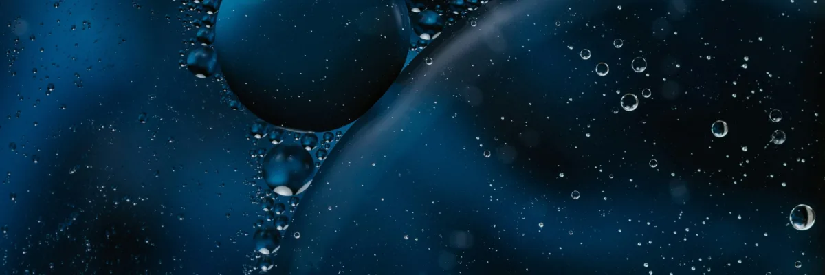 banner image