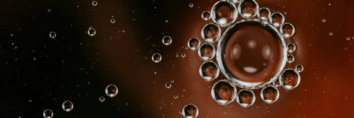 banner image